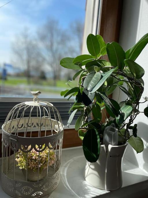 Ferienwohnung Familie Ahrend Wernigerode Exterior foto